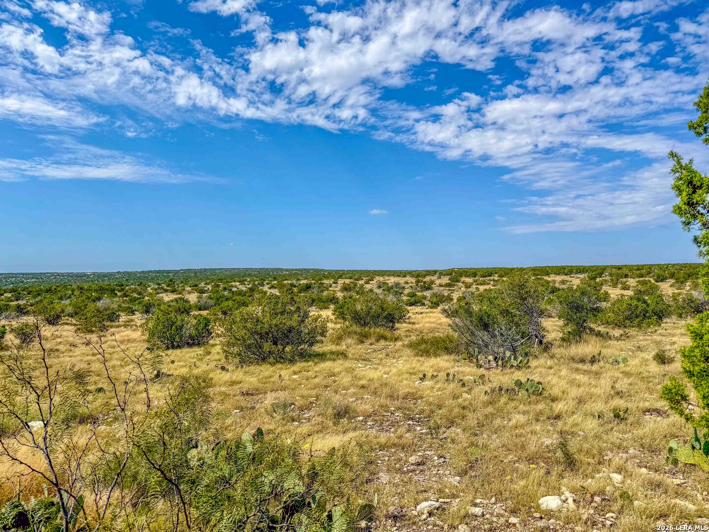 00 W Cooper Road, Coms, TX 78837