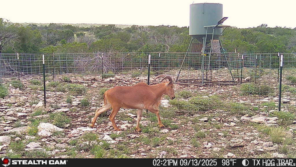 00 W Cooper Road, Coms, TX 78837