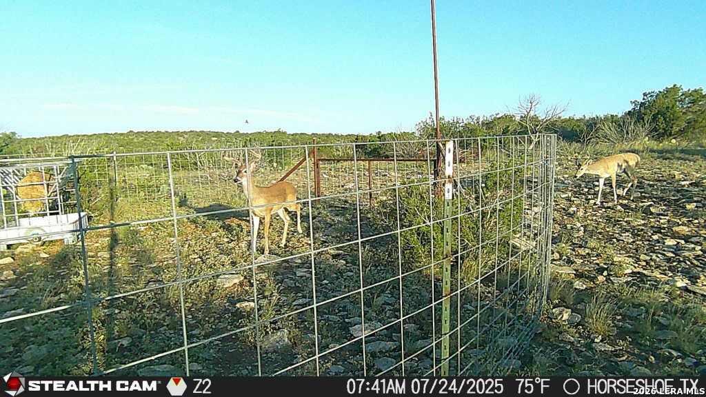 00 W Cooper Road, Coms, TX 78837