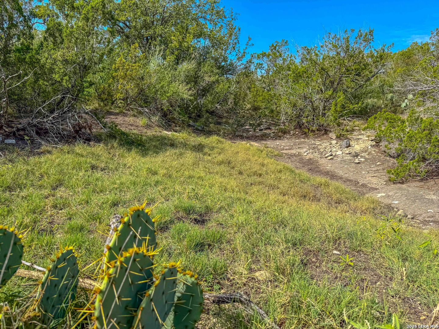 TBD N Cooper Road, Coms, TX 78837