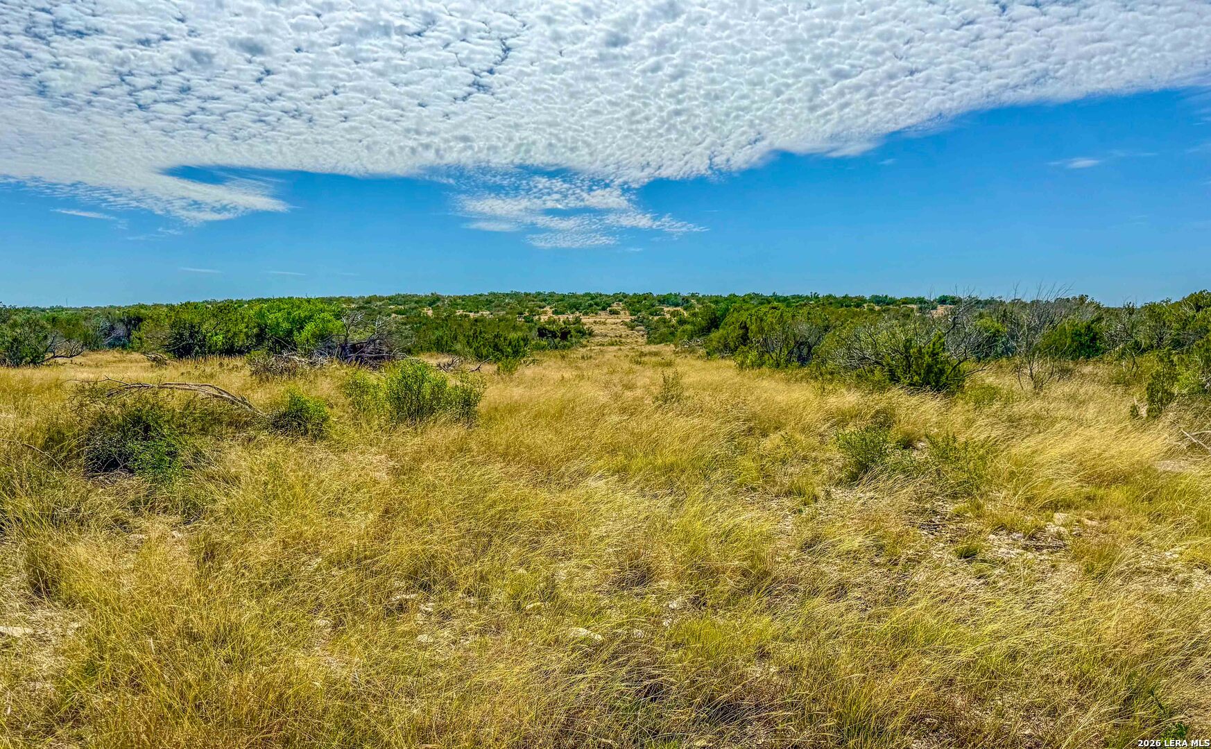TBD N Cooper Road, Coms, TX 78837