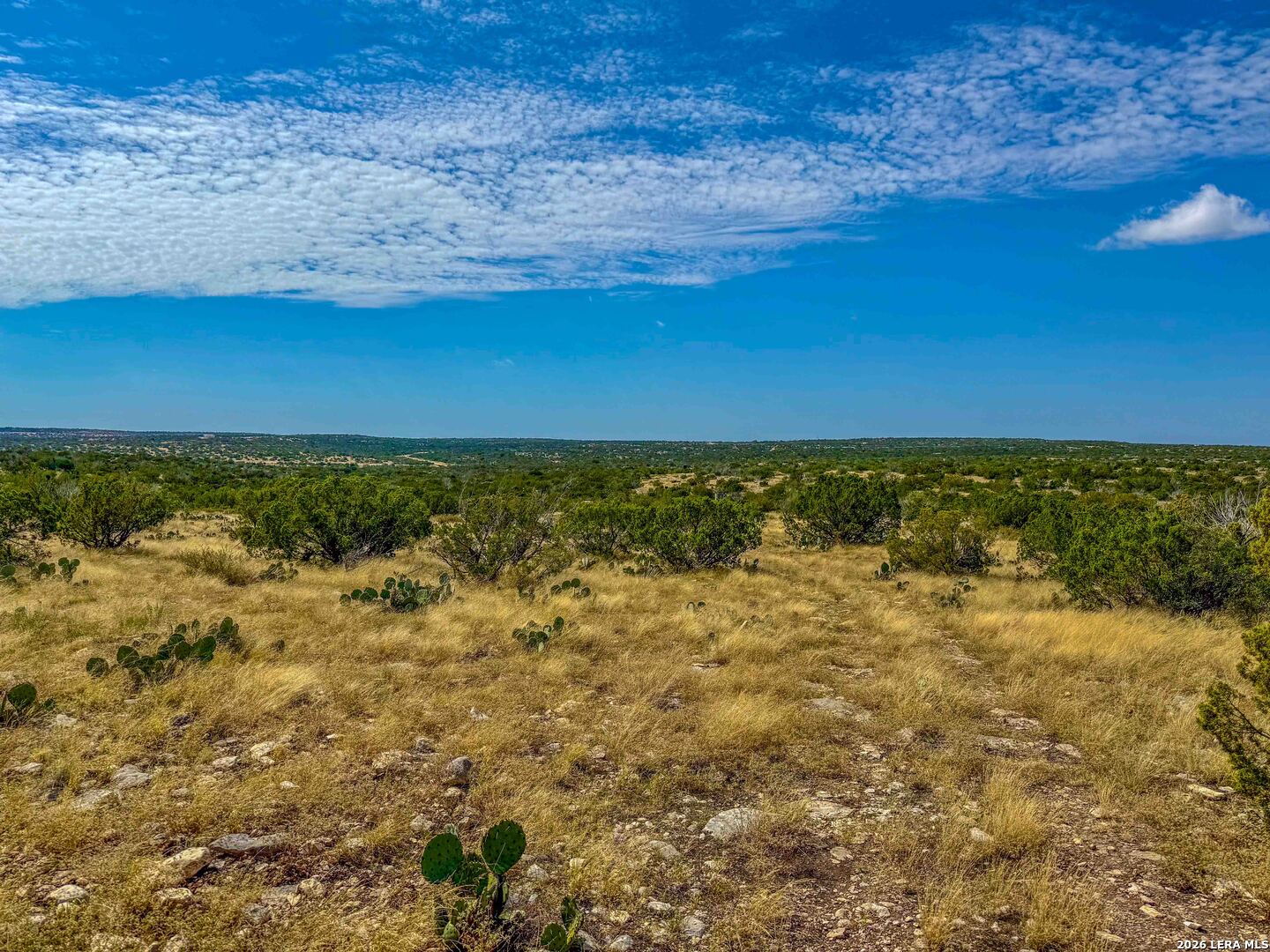 TBD N Cooper Road, Coms, TX 78837