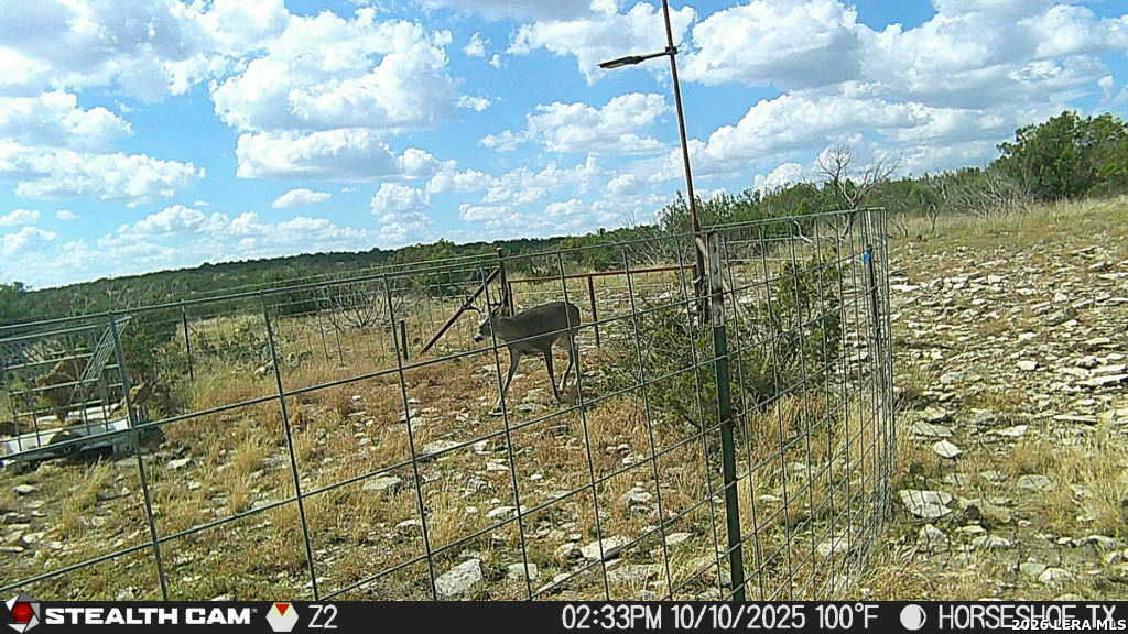 TBD N Cooper Road, Coms, TX 78837