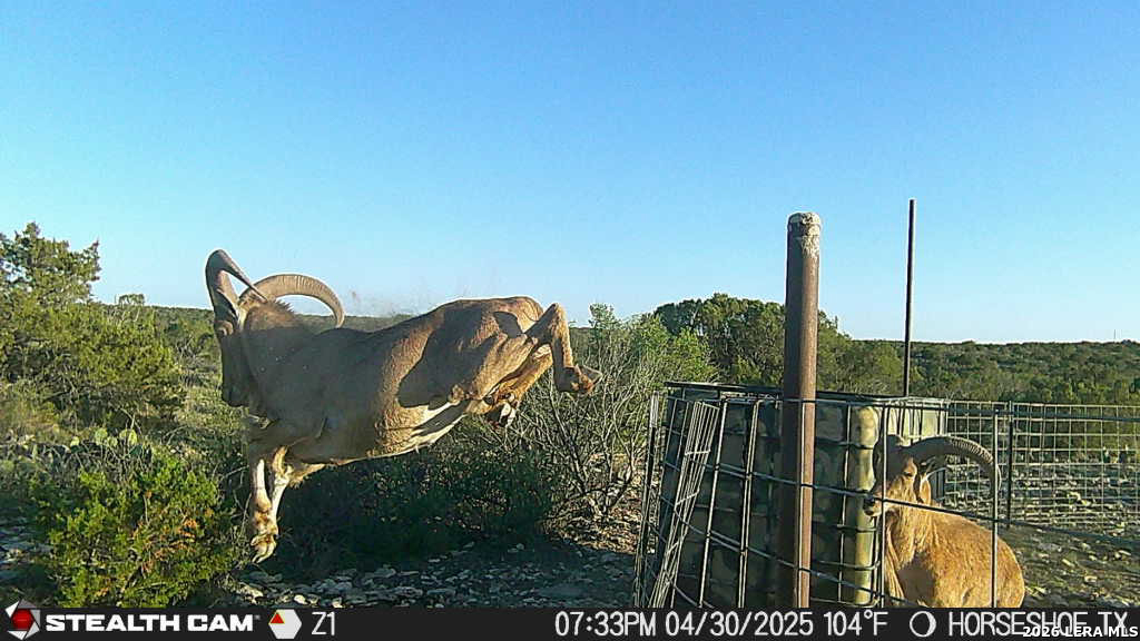 TBD N Cooper Road, Coms, TX 78837