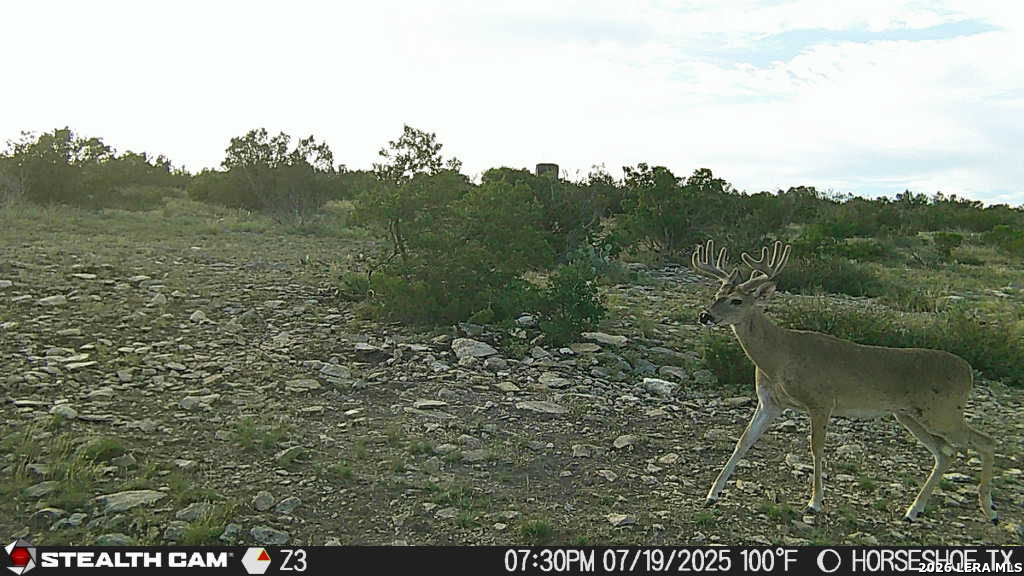 TBD N Cooper Road, Coms, TX 78837