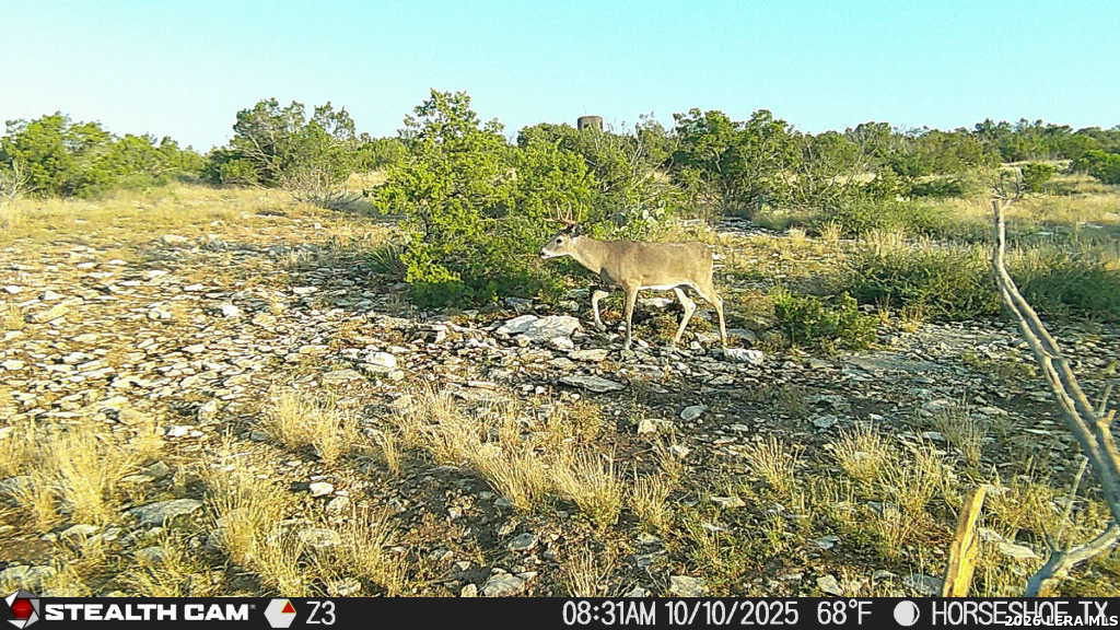 TBD N Cooper Road, Coms, TX 78837