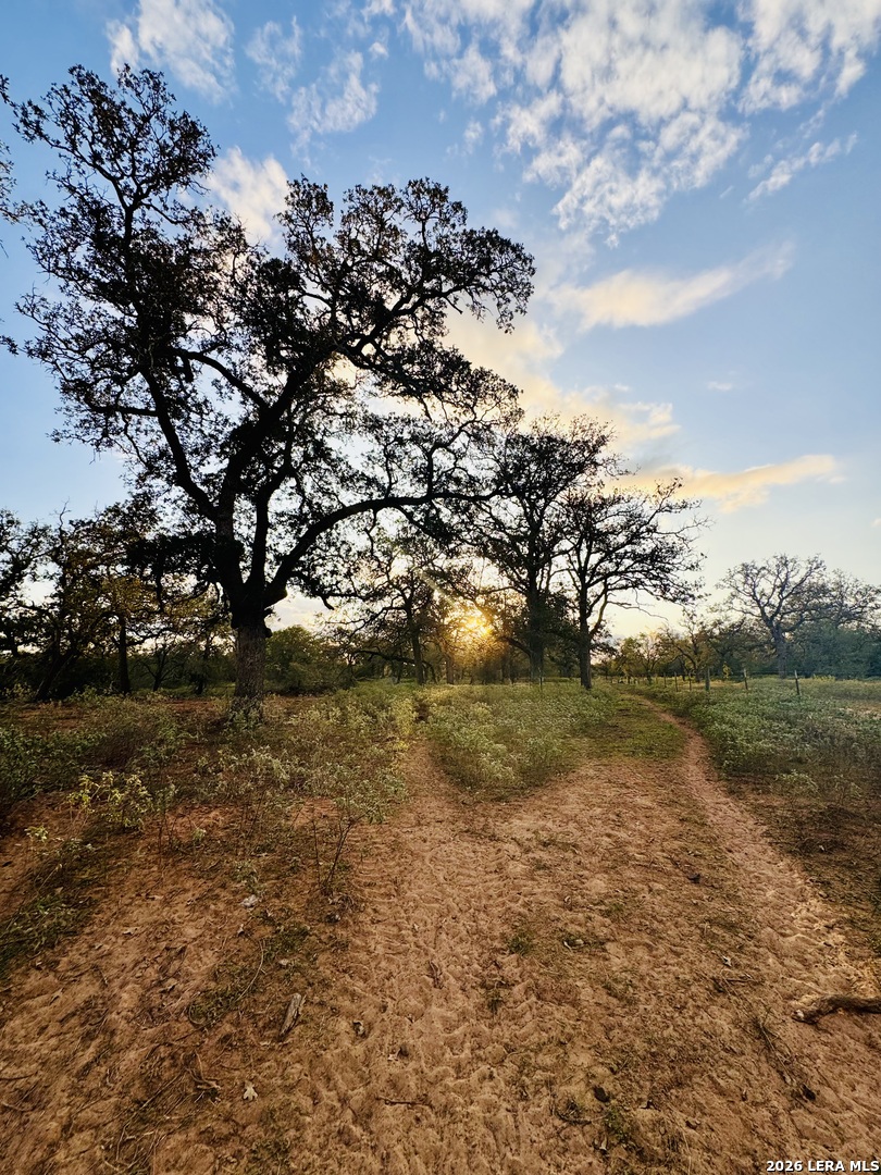 1410 W County Road 109, Leesville, TX 78122
