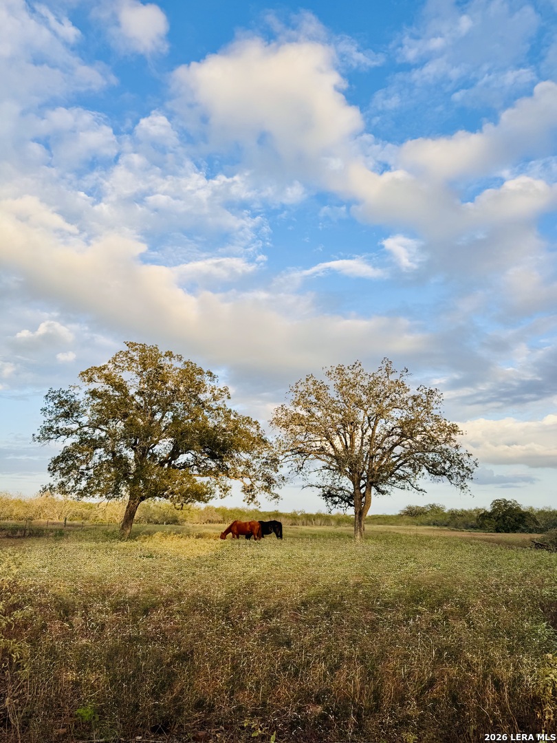 Property photo for 1410 W County Road 109, Leesville, TX
