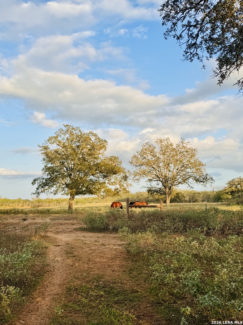 1410 W County Road 109, Leesville, TX 78122