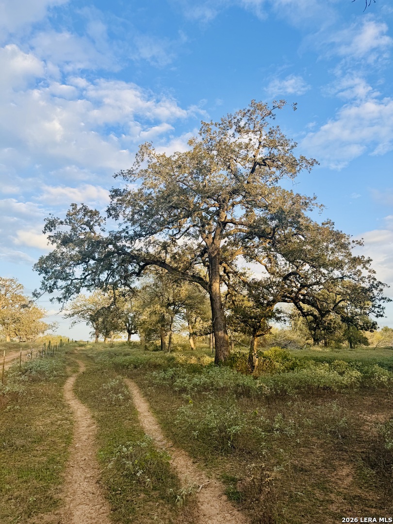 1410 W County Road 109, Leesville, TX 78122
