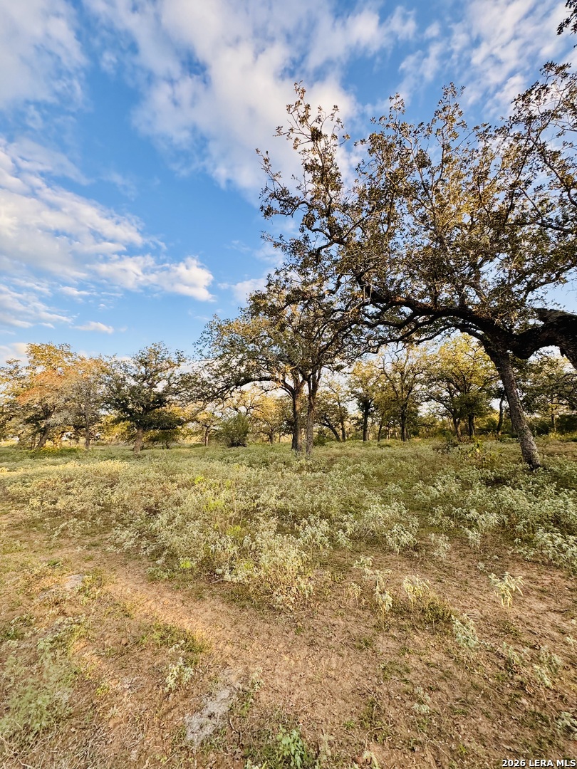 1410 W County Road 109, Leesville, TX 78122
