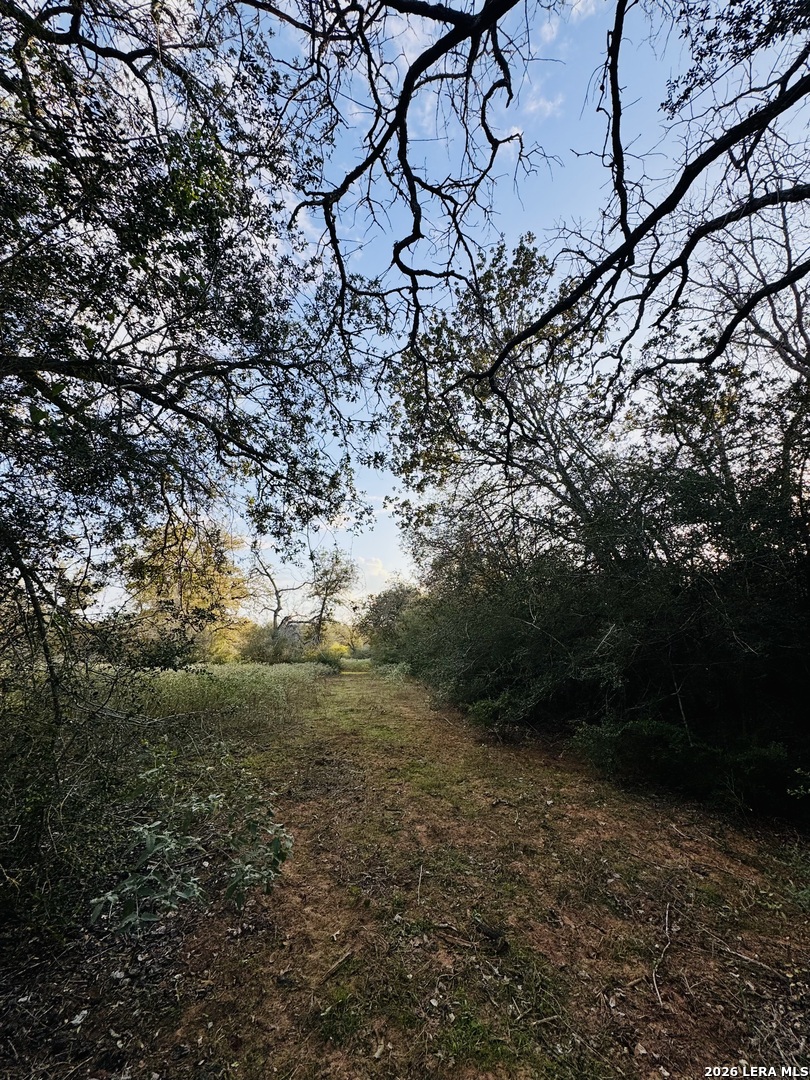 1410 W County Road 109, Leesville, TX 78122