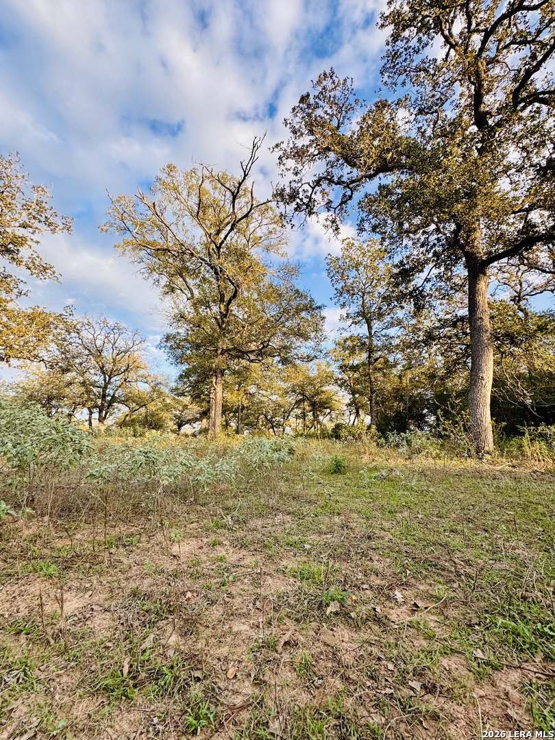 1410 W County Road 109, Leesville, TX 78122