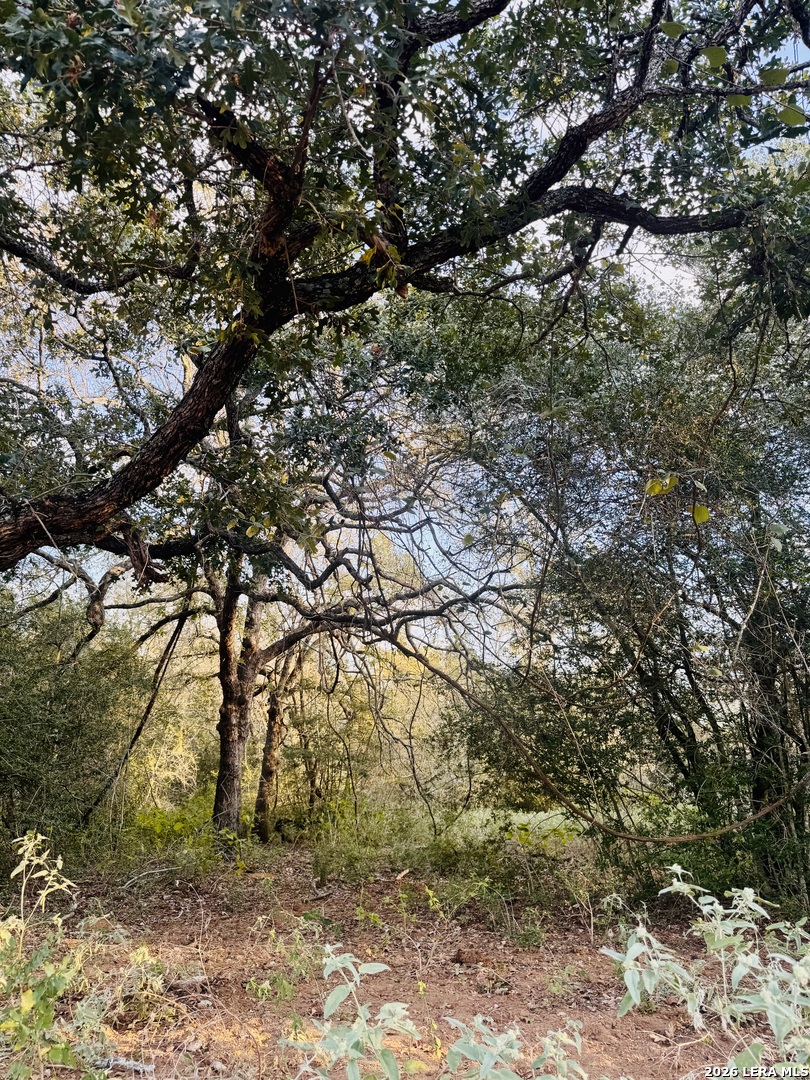 1410 W County Road 109, Leesville, TX 78122