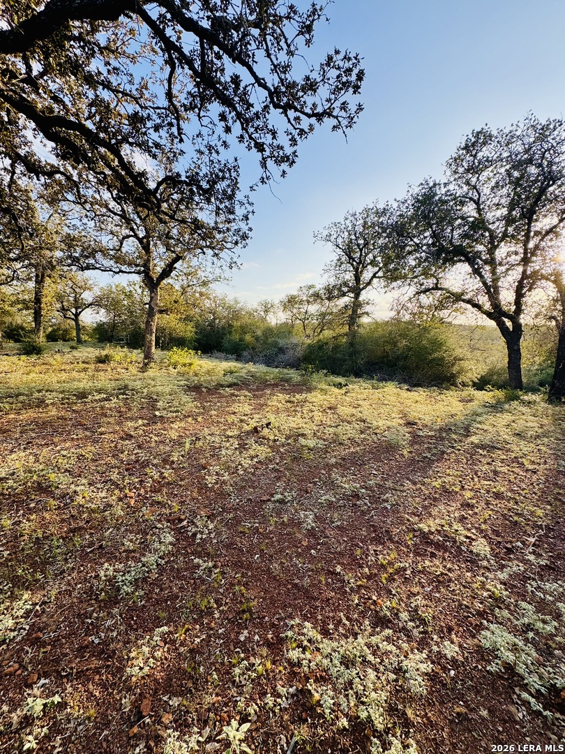1410 W County Road 109, Leesville, TX 78122