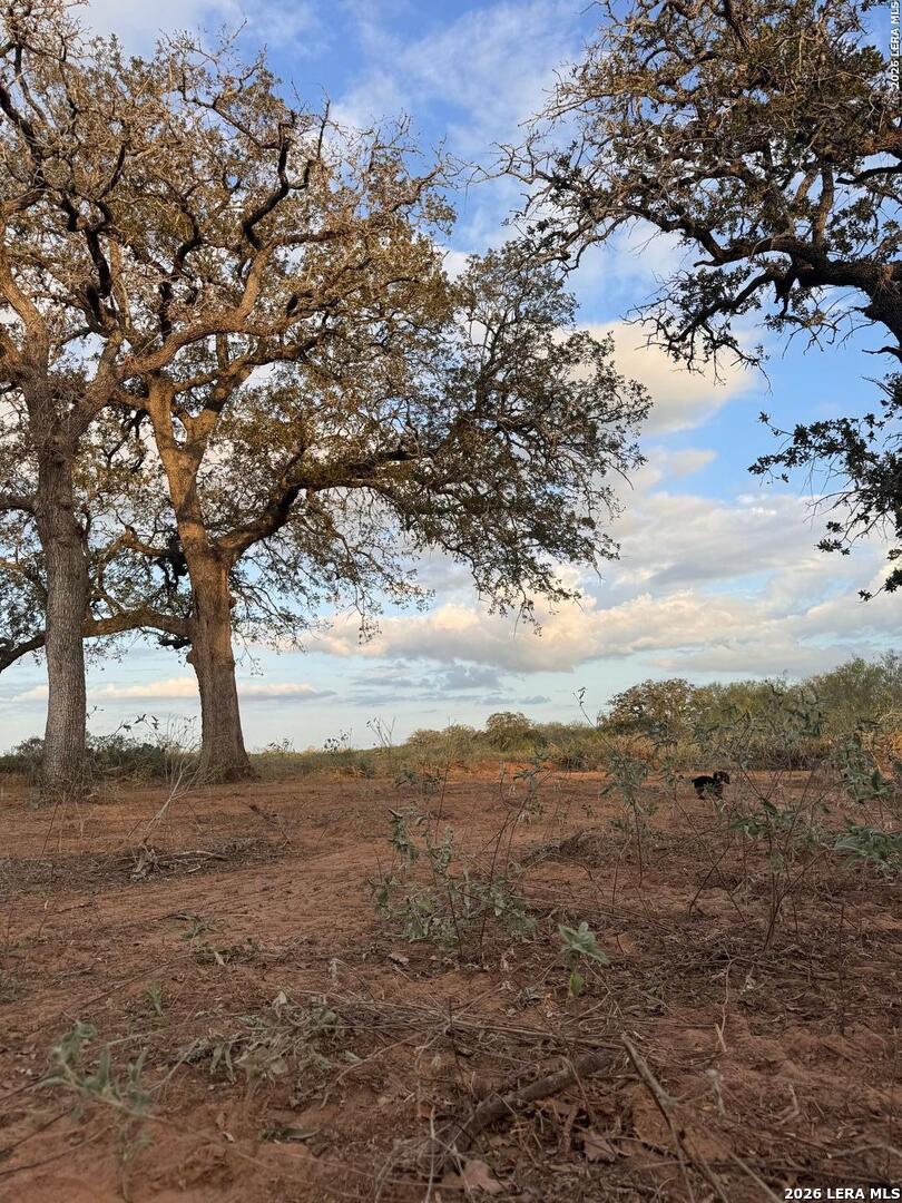 1410 W County Road 109, Leesville, TX 78122