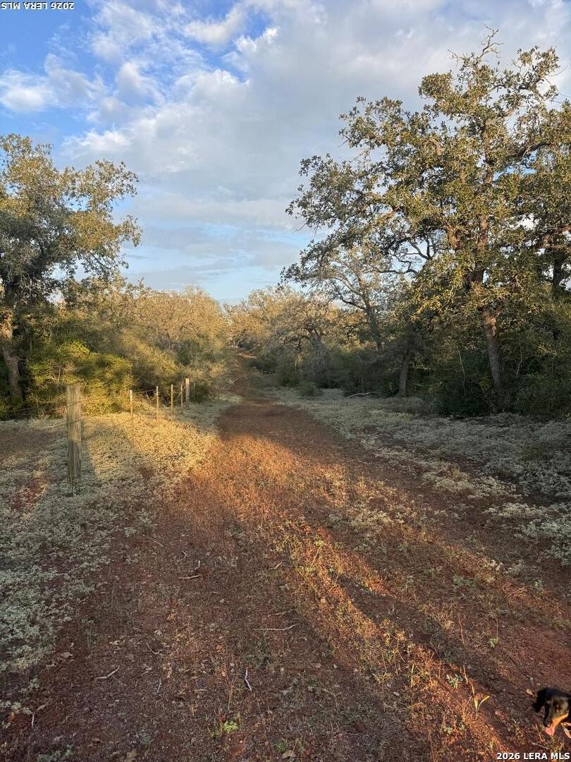 1410 W County Road 109, Leesville, TX 78122