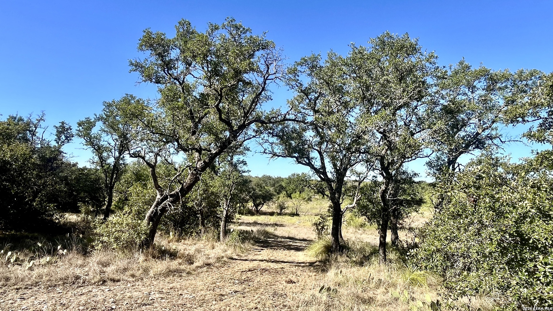 2801 Heritage DR, Melvin, TX 76858