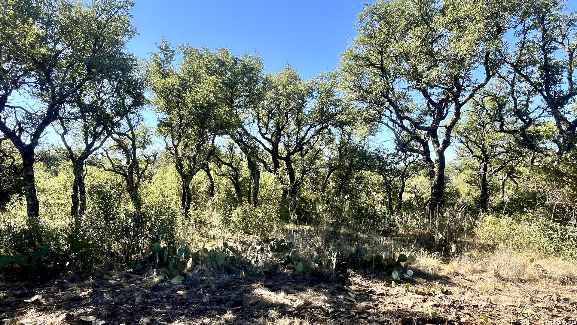 2801 Heritage DR, Melvin, TX 76858