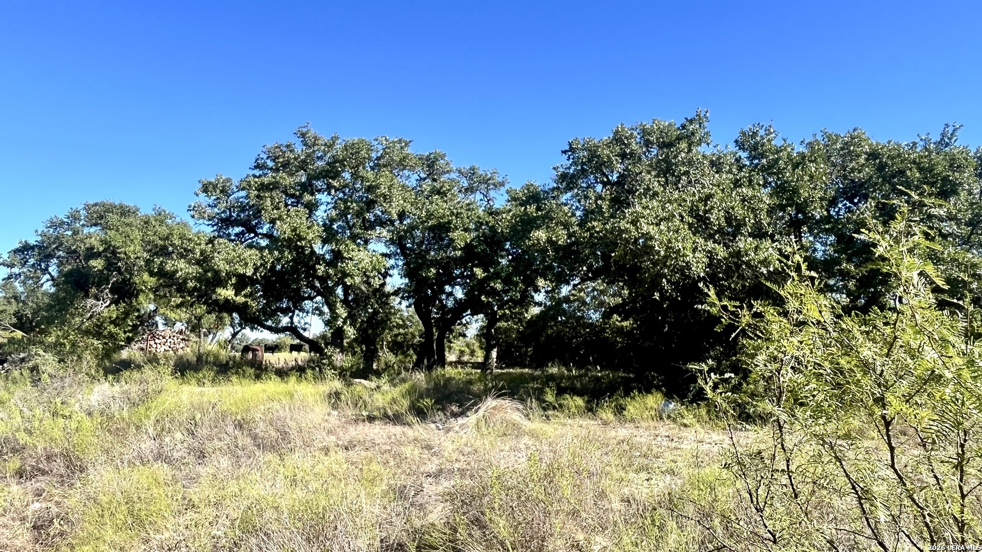 2801 Heritage DR, Melvin, TX 76858