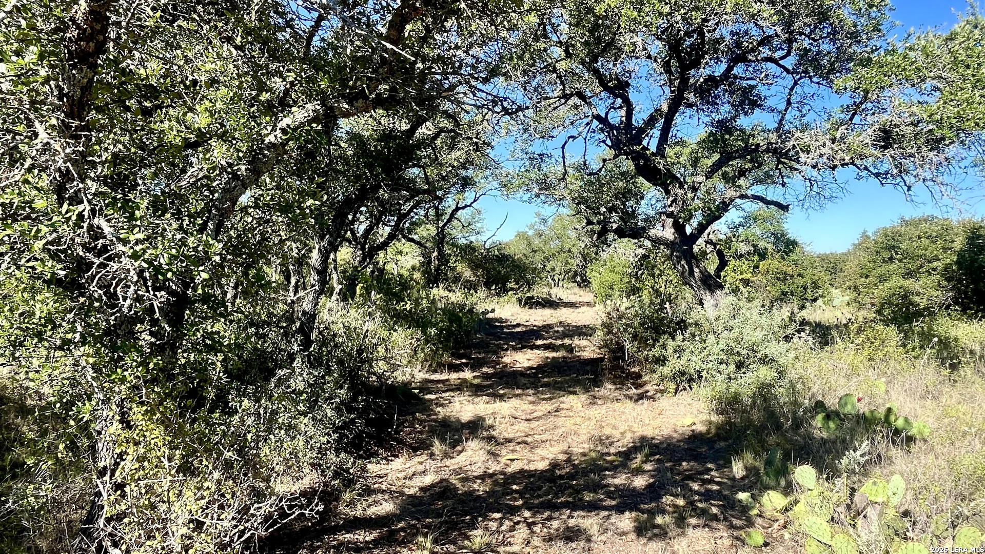 2801 Heritage DR, Melvin, TX 76858