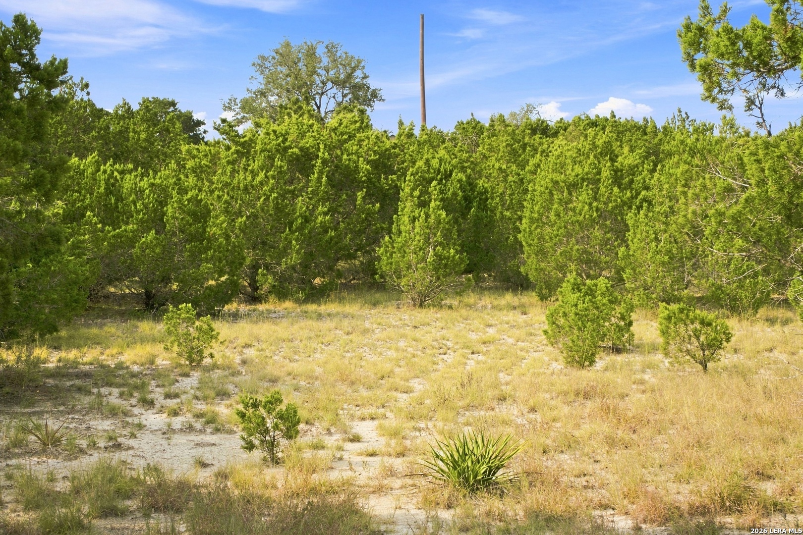 9542 Majestic Oak Cir, San Antonio, TX 78255