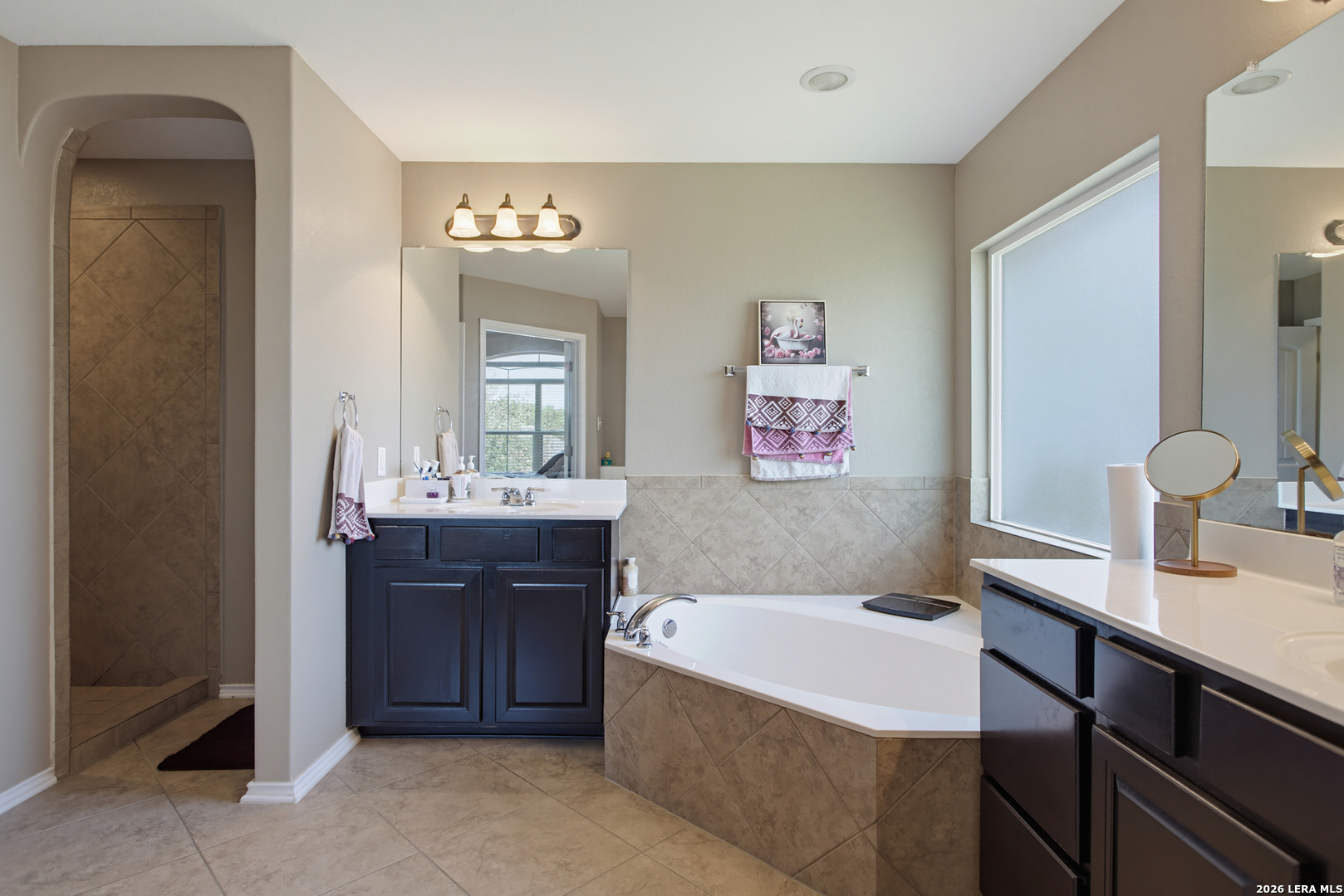 446 Redbird Chase, San Antonio, TX 78253
