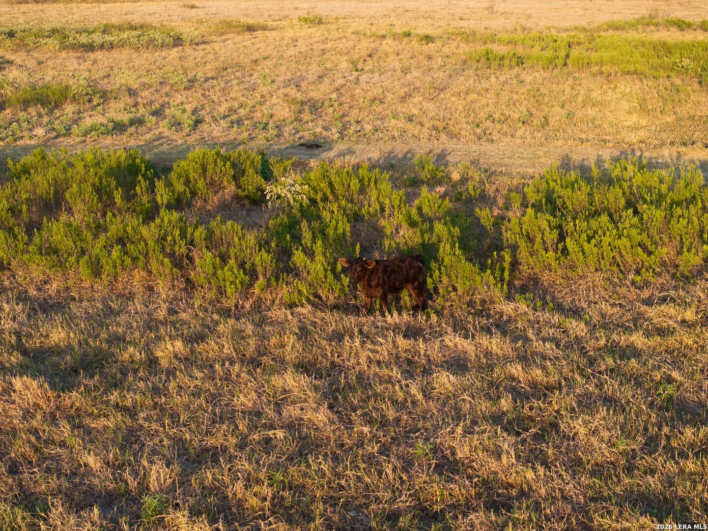 425 Seawillow Rd, Lockhart, TX 78644