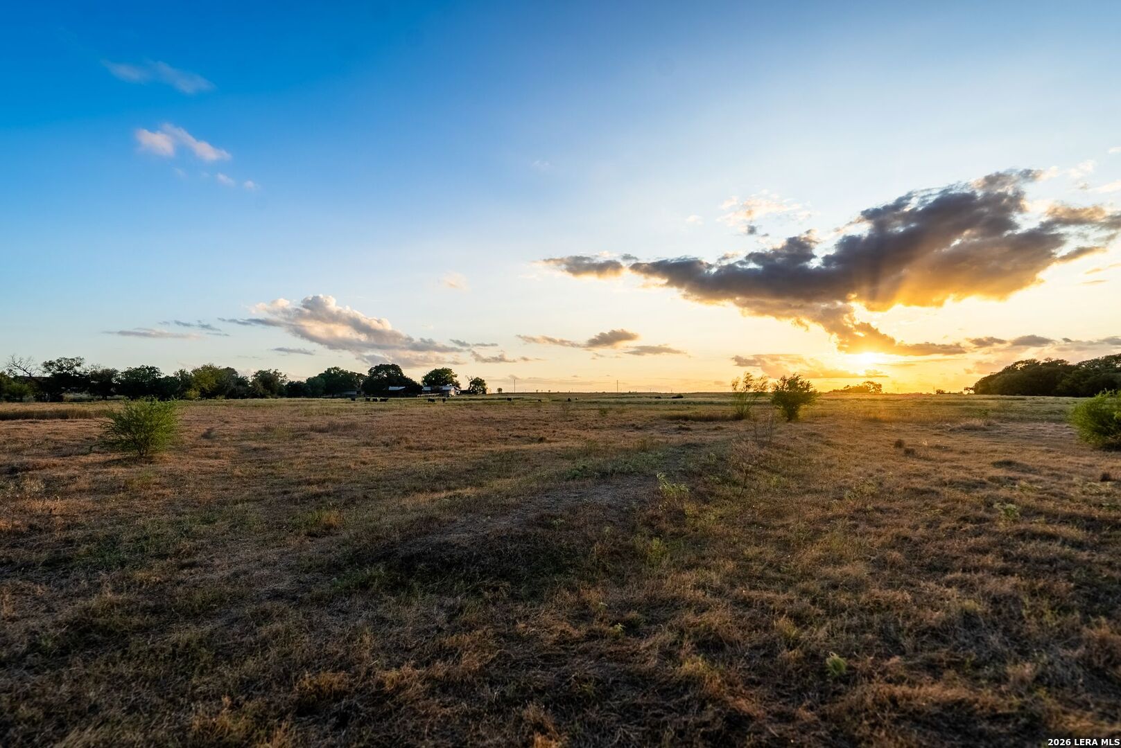 Property photo for 425 Seawillow Rd, Lockhart, TX