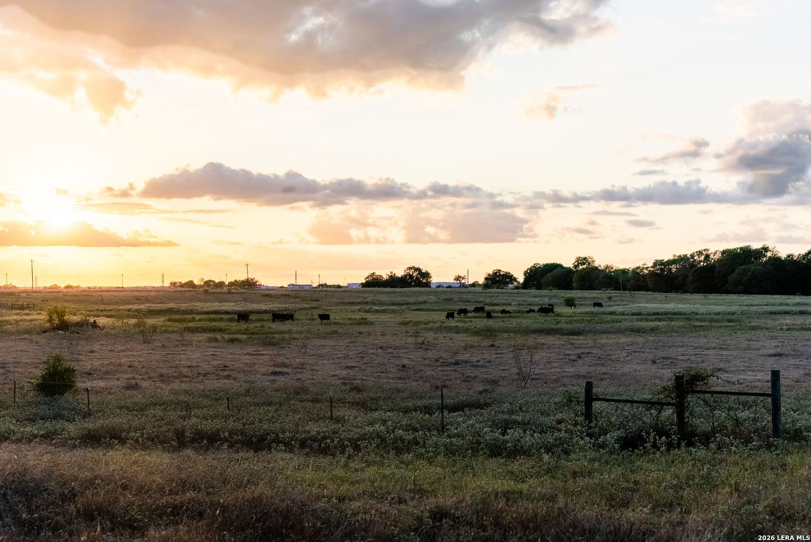 425 Seawillow Rd, Lockhart, TX 78644