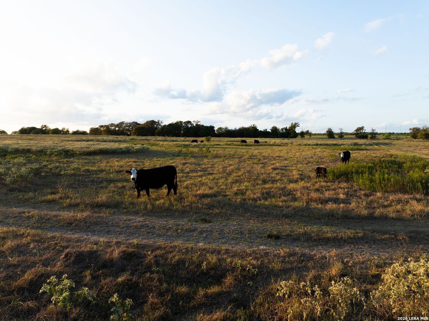 425 Seawillow Rd, Lockhart, TX 78644