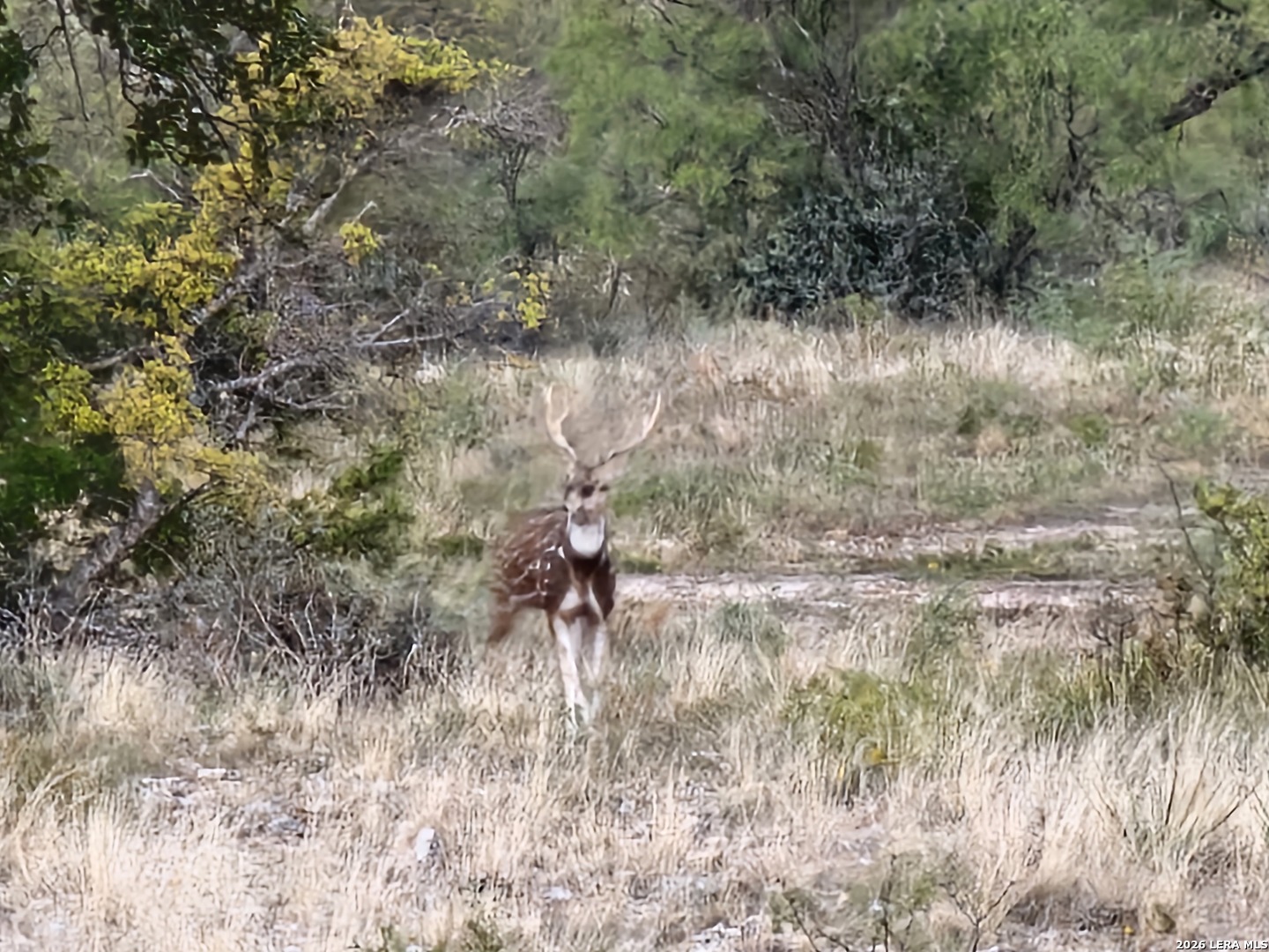 350 SD 23110, Rocksprings, TX 78880