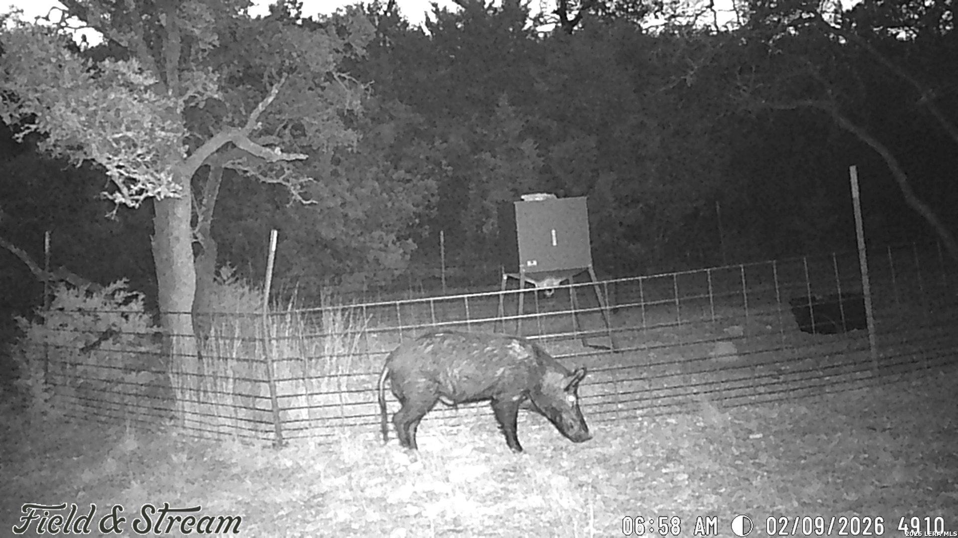 350 SD 23110, Rocksprings, TX 78880