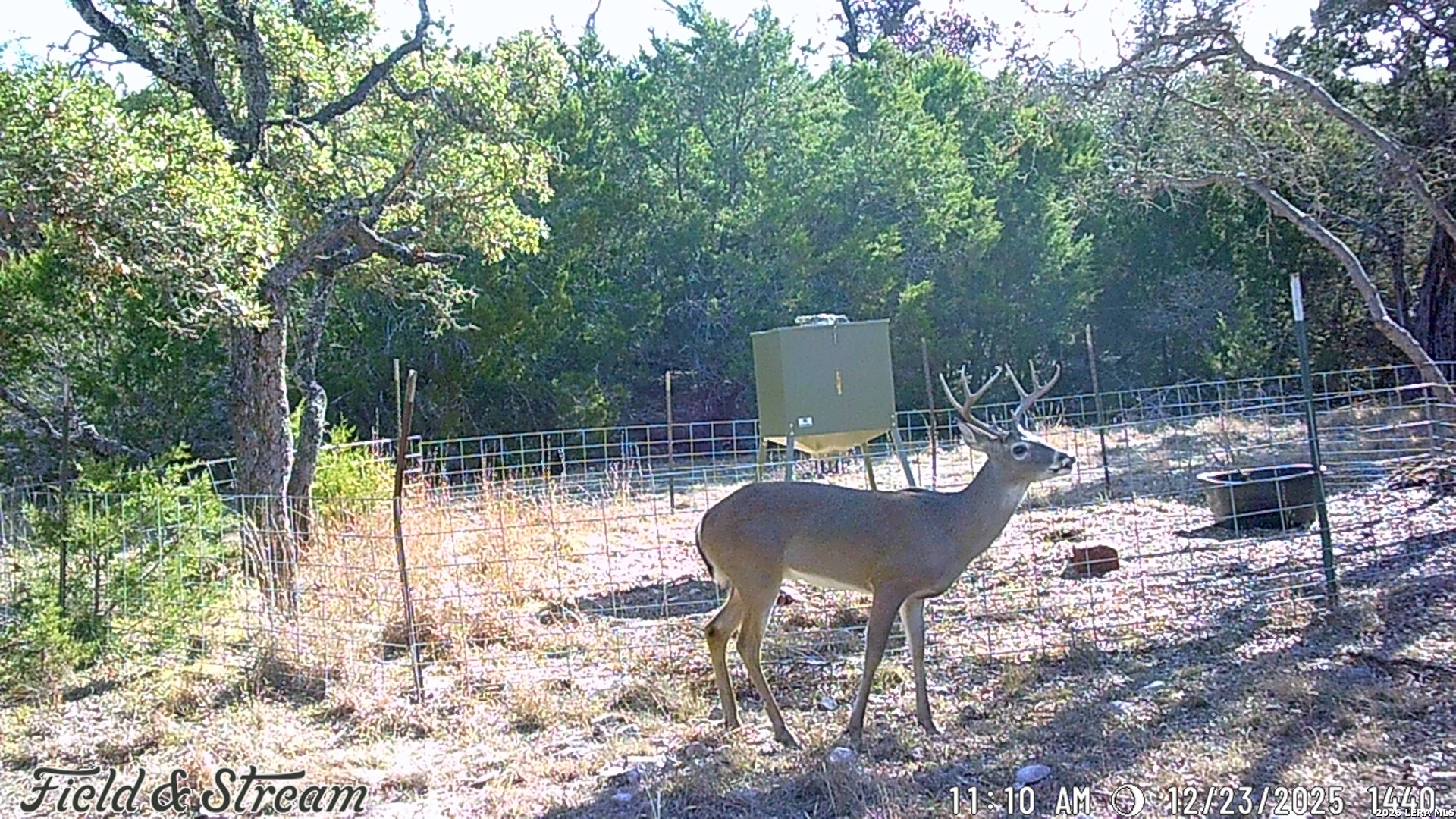 350 SD 23110, Rocksprings, TX 78880