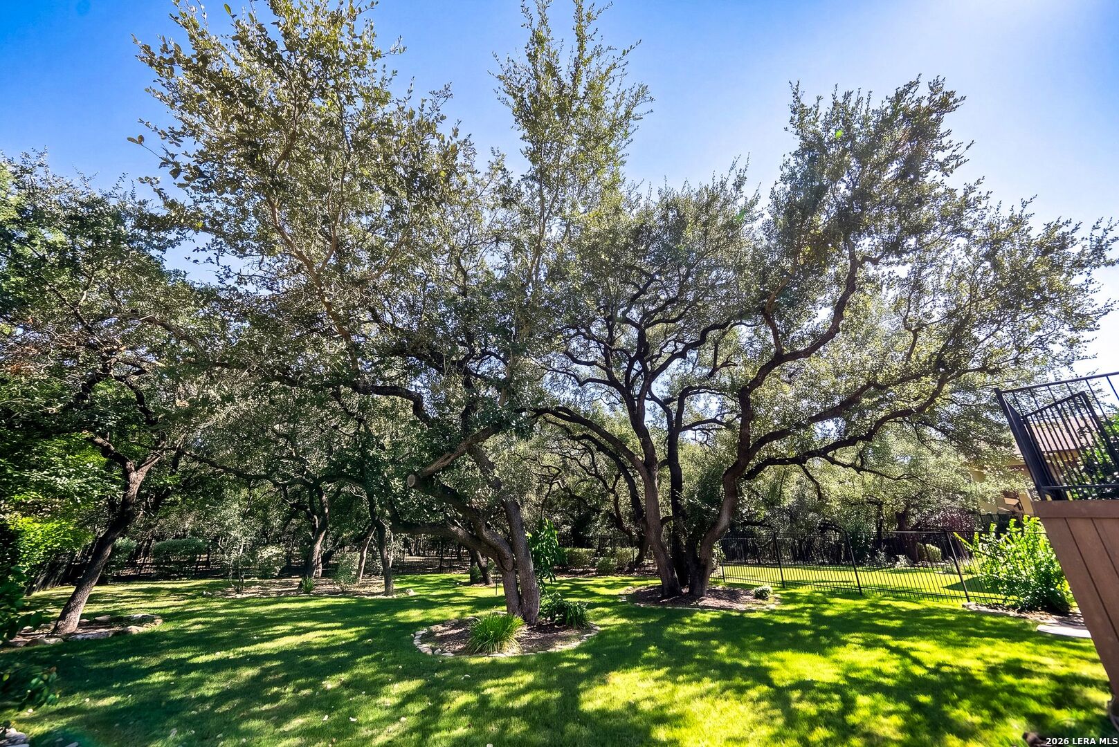 4678 Amorosa Way, San Antonio, TX 78261