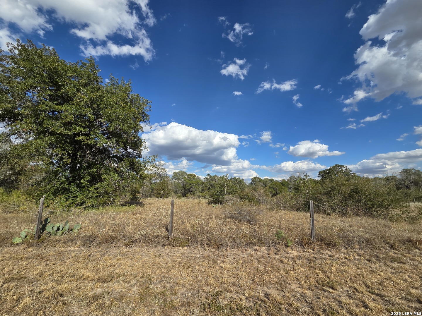 1830 CLEAR LAKE LOOP, Poteet, TX 78065