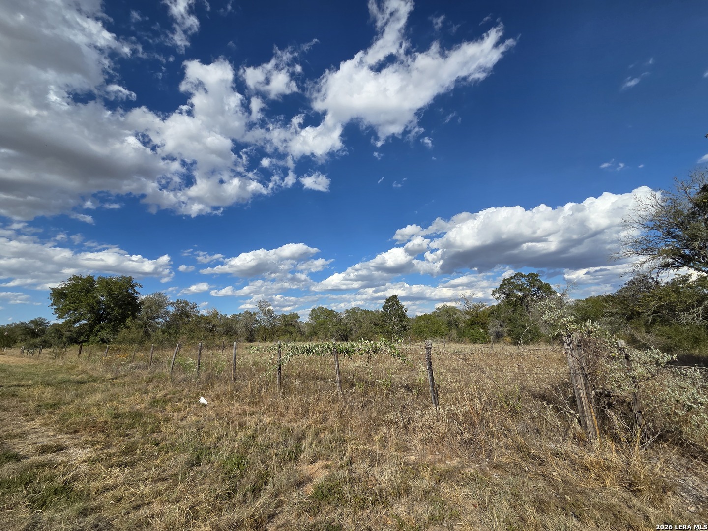 1830 CLEAR LAKE LOOP, Poteet, TX 78065