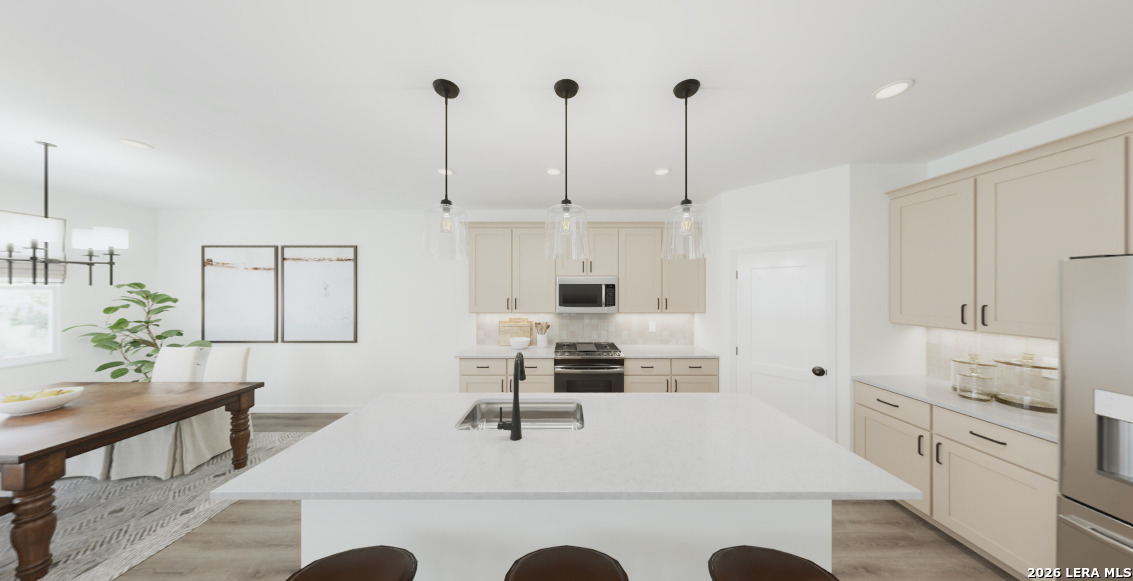 110 Peeps Ct., Adkins, TX 78101