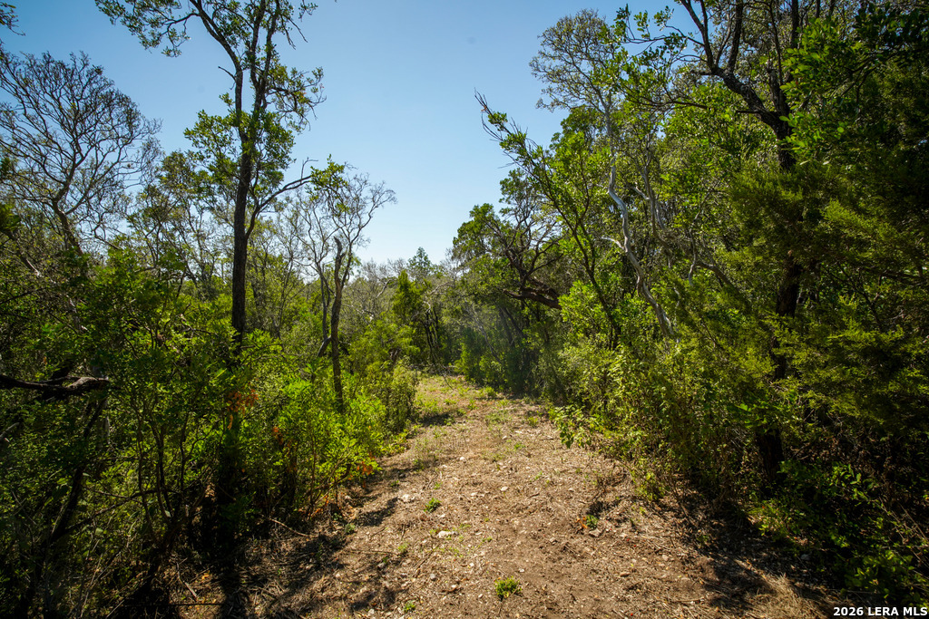 TBD, LOT #03, County Road 2801, Mico, TX 78056