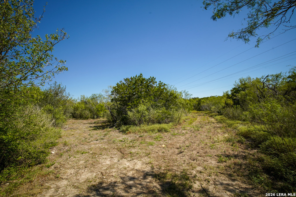 TBD, LOT #03, County Road 2801, Mico, TX 78056