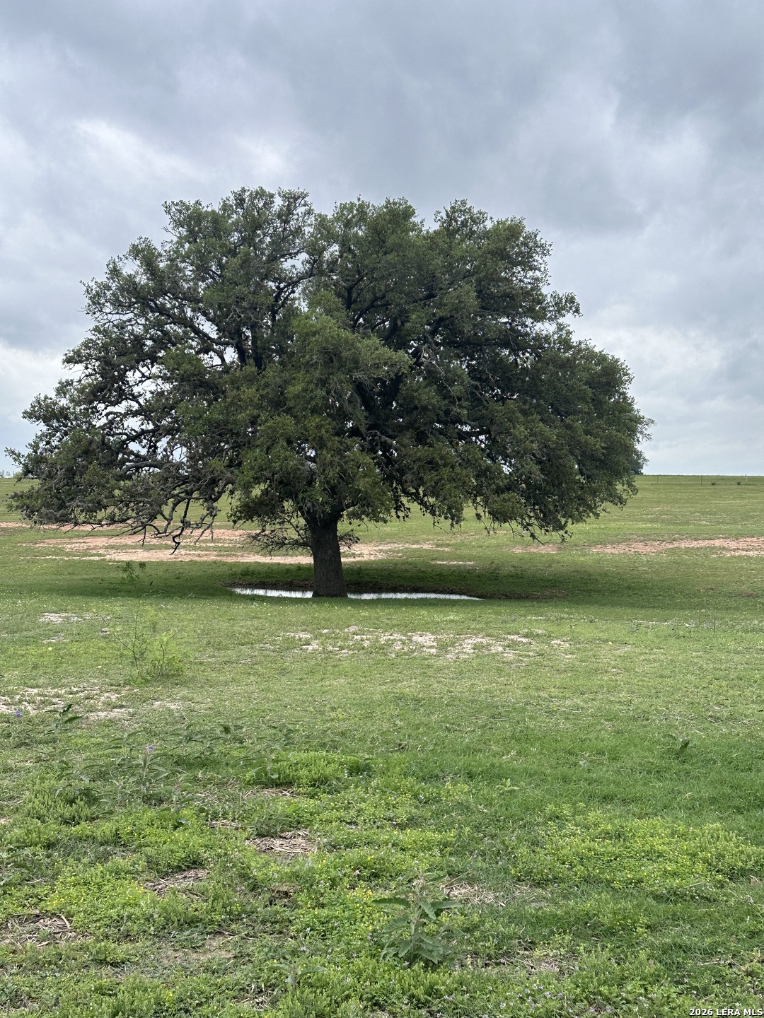 TBD (TR 2) W GATES VALLEY RD, Poteet, TX 78065