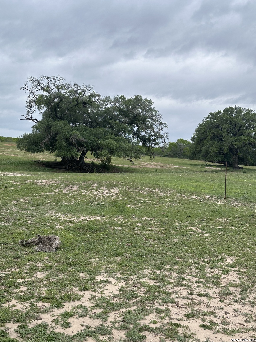 TBD (TR 2) W GATES VALLEY RD, Poteet, TX 78065
