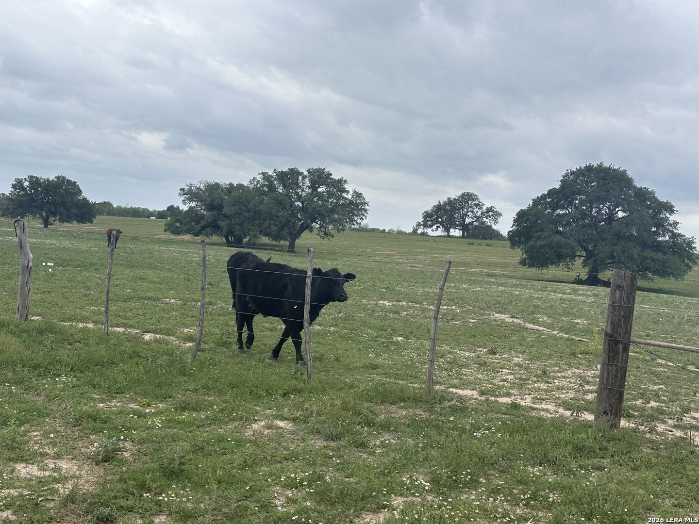 TBD (TR 2) W GATES VALLEY RD, Poteet, TX 78065