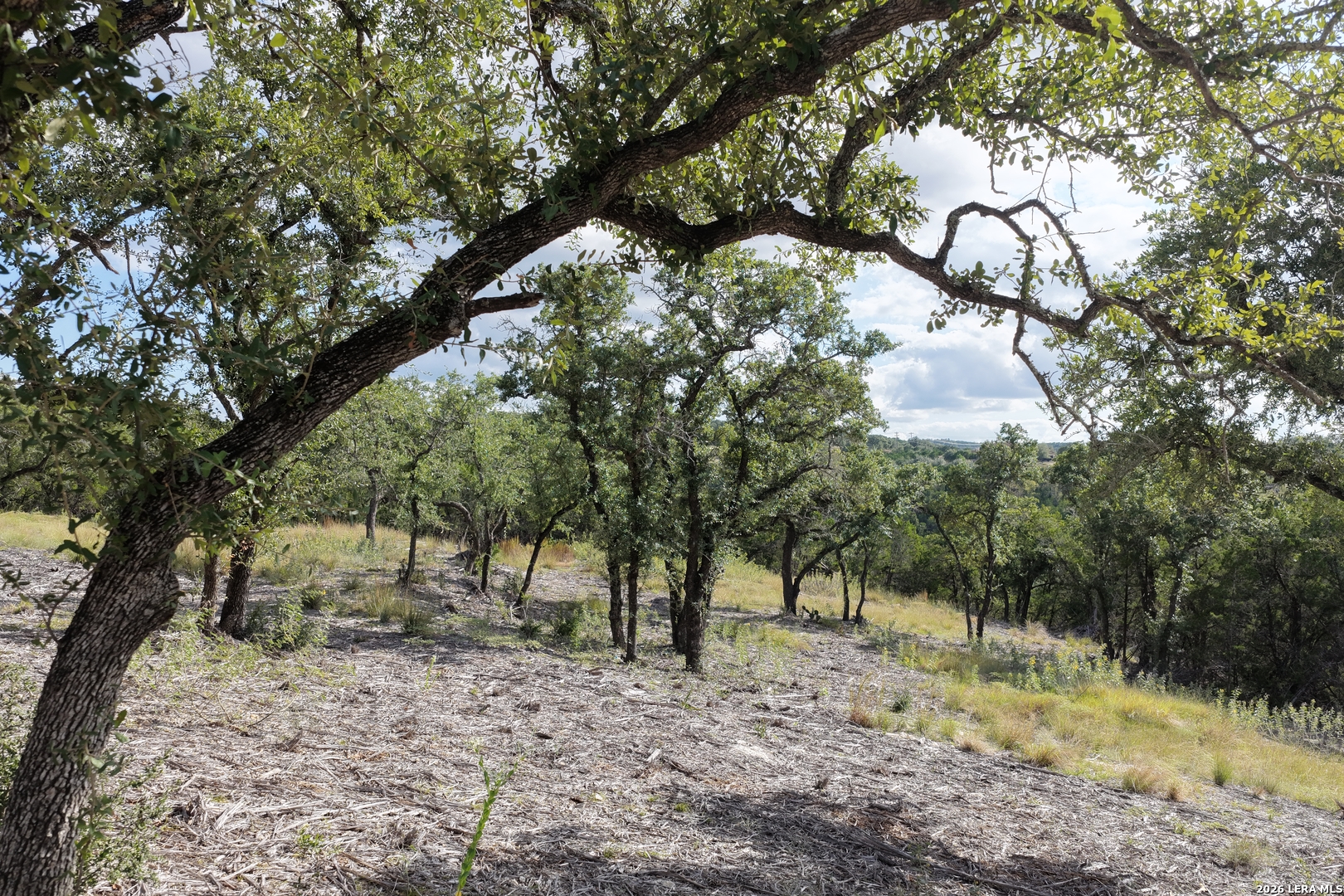 LOT 55 Canyon Terrace Dr, Canyon Lake, TX 78133