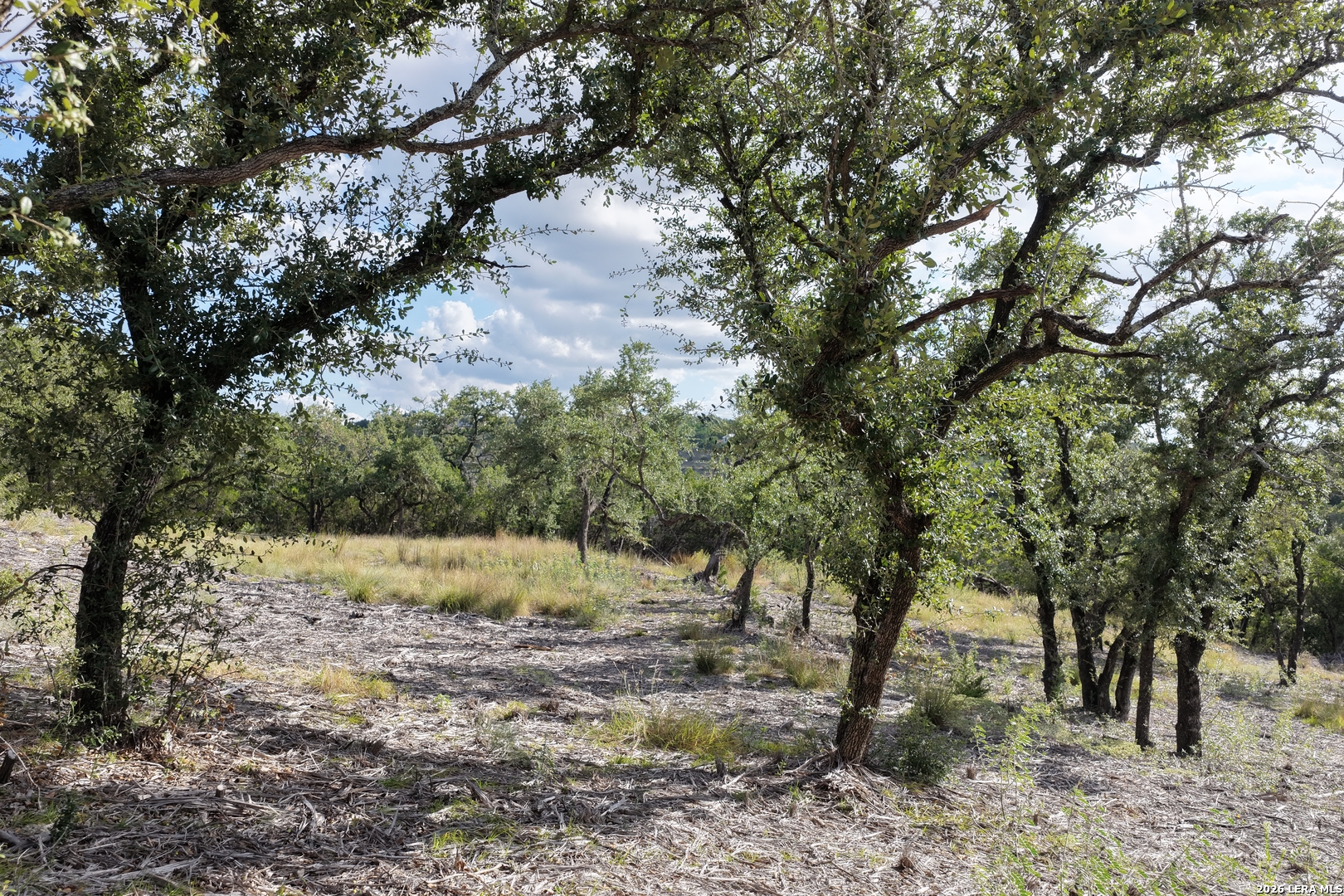 LOT 55 Canyon Terrace Dr, Canyon Lake, TX 78133