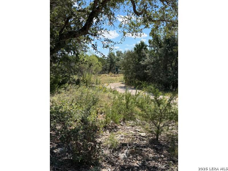 210 Ghost Dancer, Fischer, TX 78623