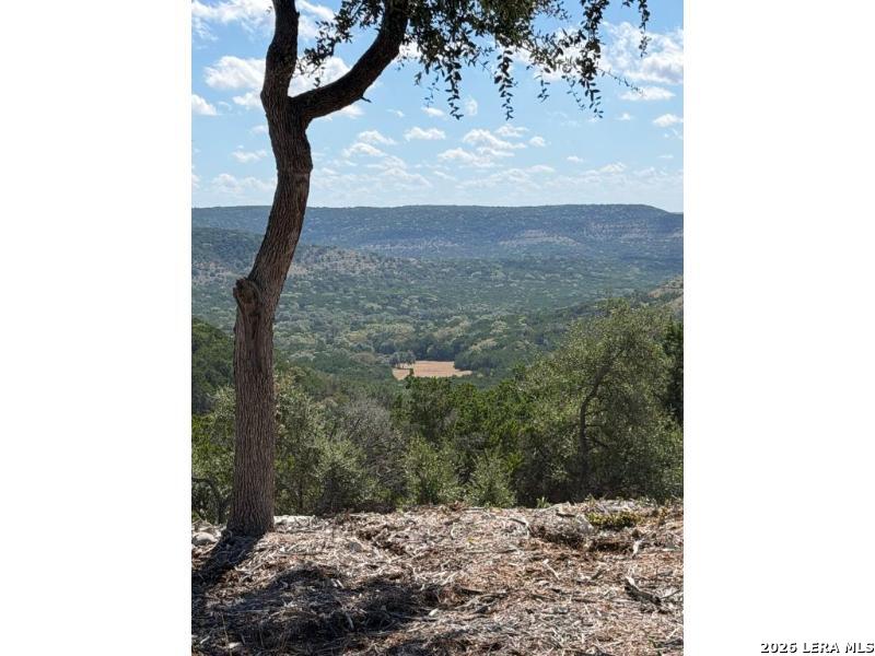 210 Ghost Dancer, Fischer, TX 78623