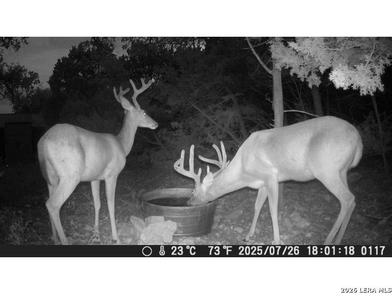 210 Ghost Dancer, Fischer, TX 78623