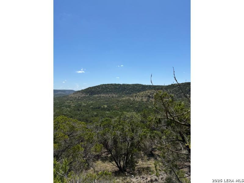 210 Ghost Dancer, Fischer, TX 78623