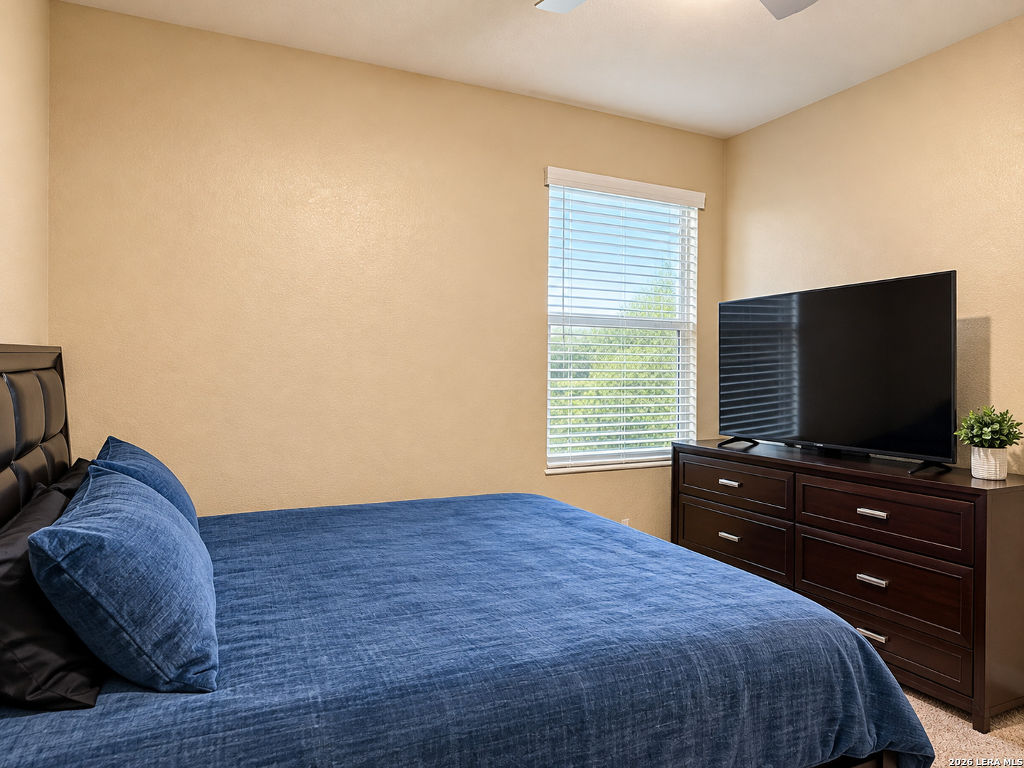 2935 Thunder Gulch, San Antonio, TX 78245